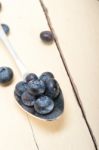 Fresh Blueberry On Silver Spoon Stock Photo