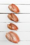 Cymbiola Seashells Stock Photo