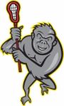 Gorilla Ape With Lacrosse Stick Cartoon Stock Photo