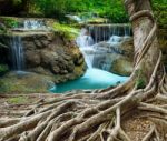 Banyan Tree And Limestone Waterfalls In Purity Deep Forest Use N Stock Photo