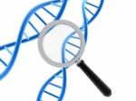 Dna Examined Under A Magnifying Glass Stock Photo