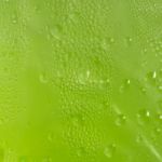 Water Drops On A Green Stock Photo
