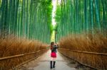 Woman Take A Photo At Bamboo Forest In Kyoto, Japan Stock Photo