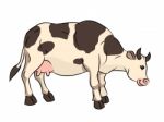 Illustration Of Cow Cartoon -  Illustration Stock Photo