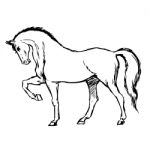 Freehand Sketch Illustration Of Horse Stock Photo