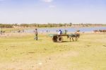 Lake Koka In Ethiopia Stock Photo