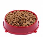 Brown Dry Cat Or Dog Food In Red Bowl Isolated On White Backgrou Stock Photo