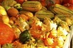 Exotic Pumpkins Stock Photo