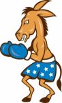 Donkey Jackass Boxing Stance Stock Photo