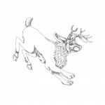 Jackalope Hopping Doodle Art Stock Photo