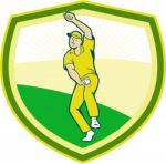 Cricket Player Bowling Crest Cartoon Stock Photo