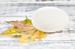 Duck Egg And Yellow Maple Leaf Stock Photo