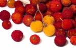 Strawberry Tree (arbutus Unedo) Fruit Stock Photo