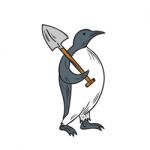 Emperor Penguin Holding Shovel Drawing Stock Photo