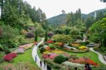 Butchart Gardens In Brentwwod Bay Vancouver Island Stock Photo
