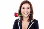Young Female Holding Rose Between Her Teeth Stock Photo