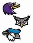 American Birds Sports Mascot Collection Stock Photo