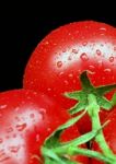 Tomatoes On Vine Stock Photo
