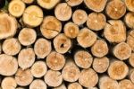 Circular Timber Stock Photo