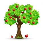 Apple Tree Stock Photo