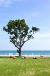 Sky Sea Park And The Tree Stock Photo