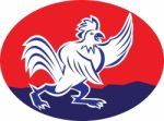 Rooster Chicken Pointing Wing Cartoon Stock Photo
