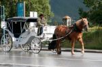 Horse And Carriage For Hire In Banff Stock Photo