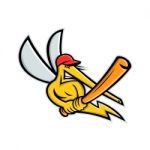 Mosquito Baseball Mascot Stock Photo
