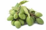 Fresh Green Mango On White Background Stock Photo