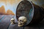 Skull In A Bucket On Wooden Stock Photo