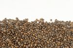 Coffee Beans Stripes Isolated In White Background Stock Photo