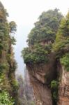 Zhangjiajie National Park ( Tian Zhi Shan ) ( Tianzi Mountain Nature Reserve ) And Fog , China Stock Photo