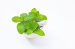 Mint  Leaves In Porcelain Mortar On White Stock Photo