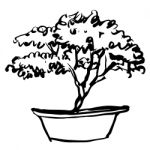 Tree In Pot Doodle Stock Photo