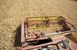 Combine Harvester In Field Stock Photo