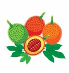 Gac Fruit Health Benefits With Leaf Stock Photo