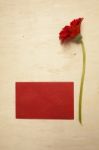 Red Daisy With Red Card On Wood Background Stock Photo