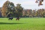 Monza, Italy/europe - October 30 : Horse Riding In Parco Di Monz Stock Photo