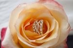 Golden Ring With Diamonds And Yellow Rose Stock Photo
