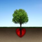 Tree And Root Of Red Heart Stock Photo