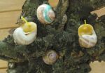 Painted Beeswax Candles Votives In Snail Shell Stock Photo