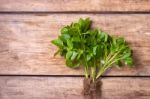 Green Basil On The Wooden Table Stock Photo