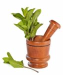 Fresh Mint Herb In Wooden Mortar With Pestle Stock Photo