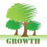 Growth Trees Means Natural Improvement Or Reforestation Stock Photo