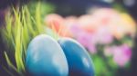 Two Blue Colorful Easter Eggs At The Green Garden On A Plant With Colorful Flowers Happy Easter Stock Photo
