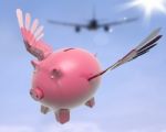 Flying Piggy Shows Sky High Future Success Stock Photo