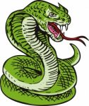 Cobra Viper Snake Stock Photo