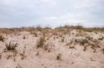 Sand Dunes With Vegetation Stock Photo