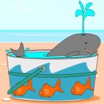 A Whale Swimming In A Pail Stock Photo