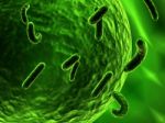 Bacteria Attacking Cell Stock Photo